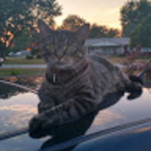 Meet your Posher, Levi